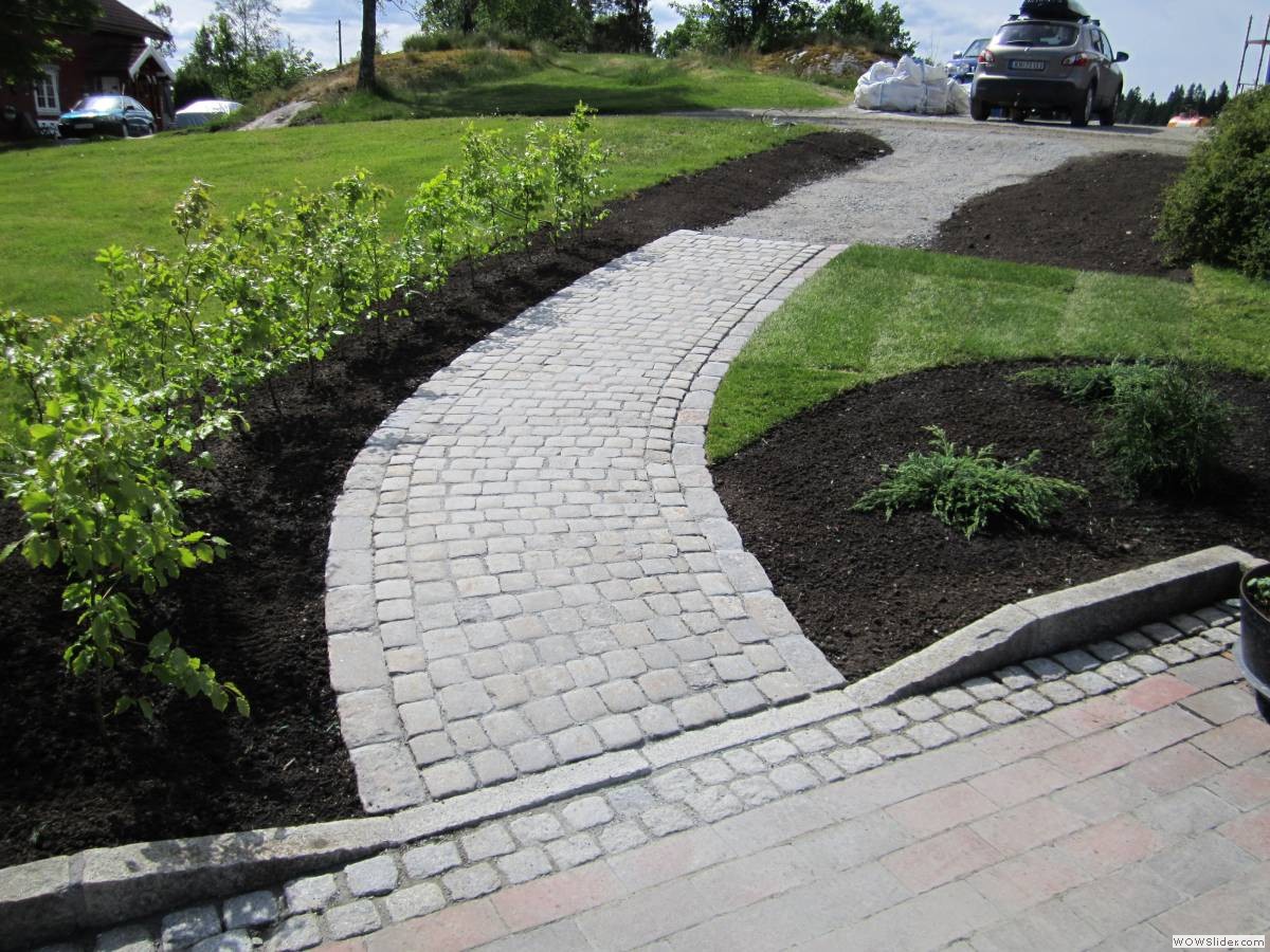 _Trond Martin Wiersholm 001