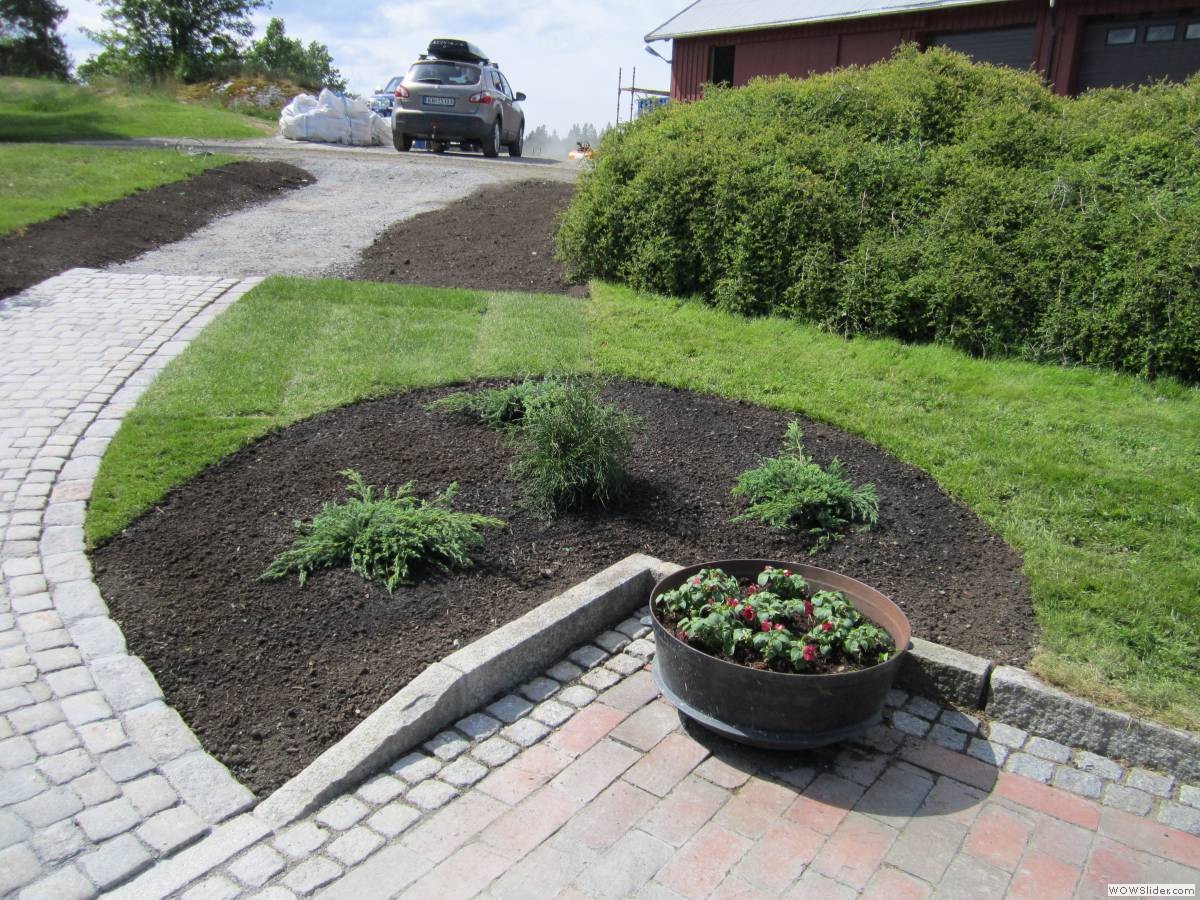 _Trond Martin Wiersholm 003