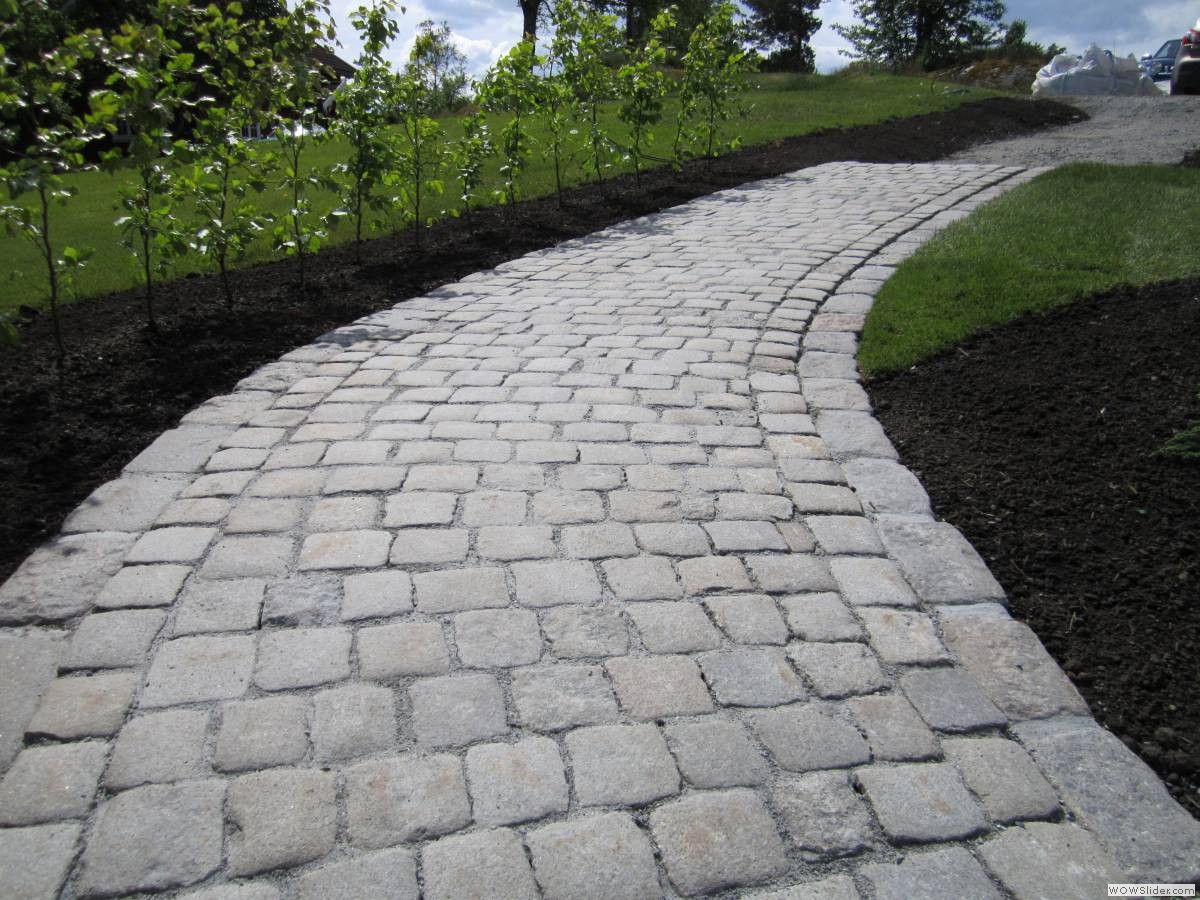 _Trond Martin Wiersholm 005