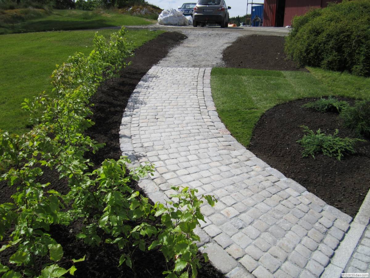 _Trond Martin Wiersholm 006