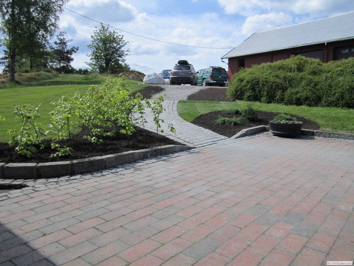 _Trond Martin Wiersholm 011