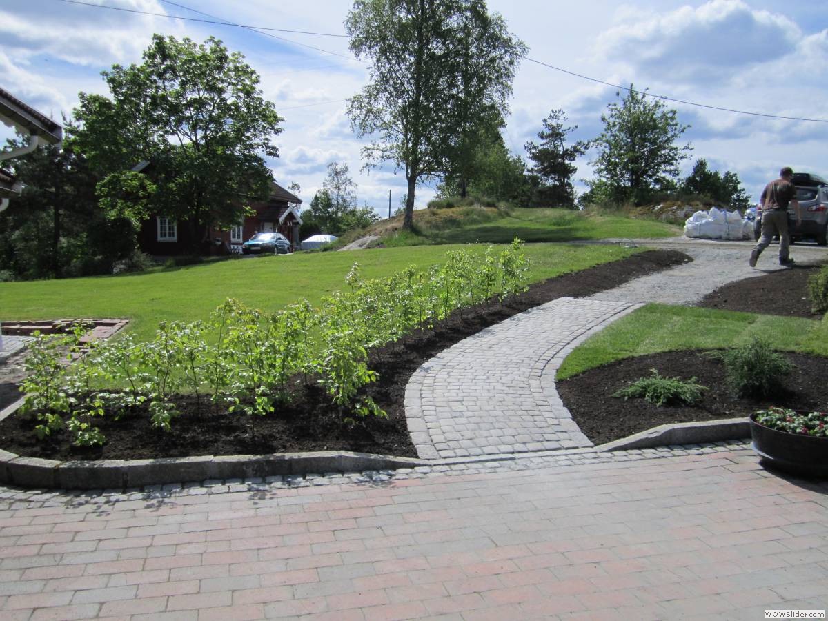 _Trond Martin Wiersholm 012