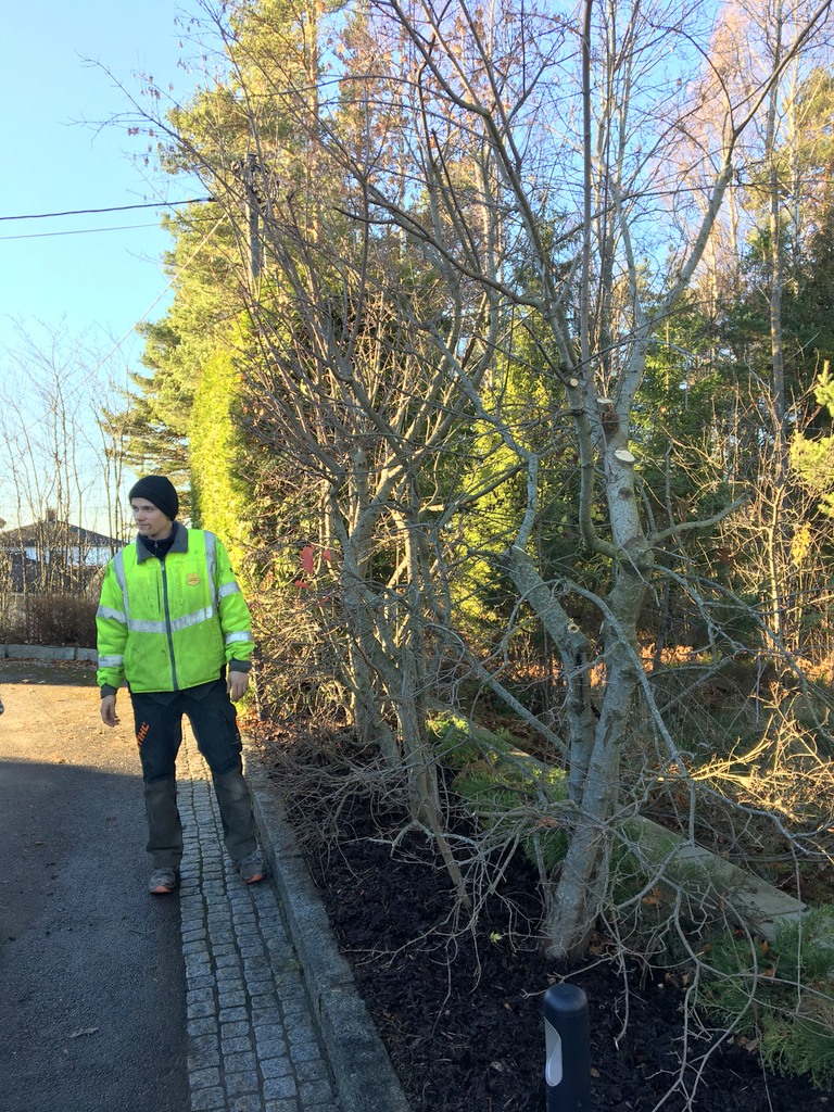 1 Marita Bangor Synnestvedt