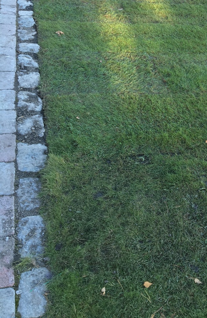 1 Marita Bangor Synnestvedt