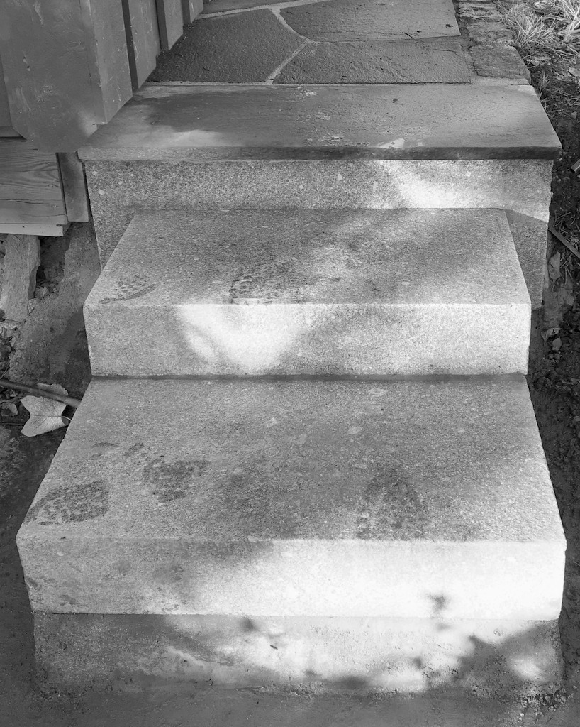 1 Marita Bangor Synnestvedt