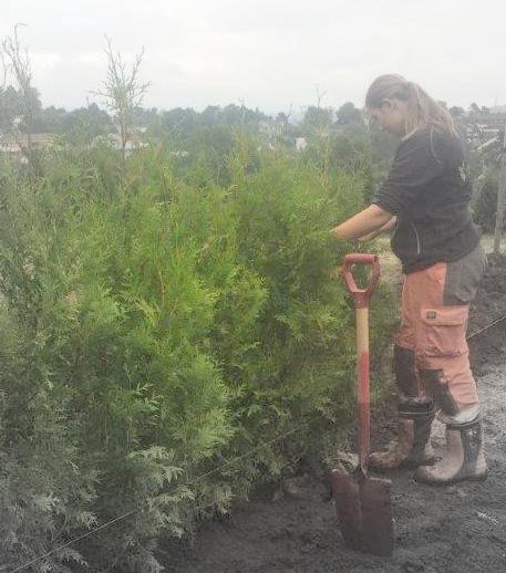 Fagprve Oda 18 aug 17 9