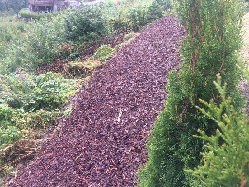 Fagprve Oda 18 aug 17 9