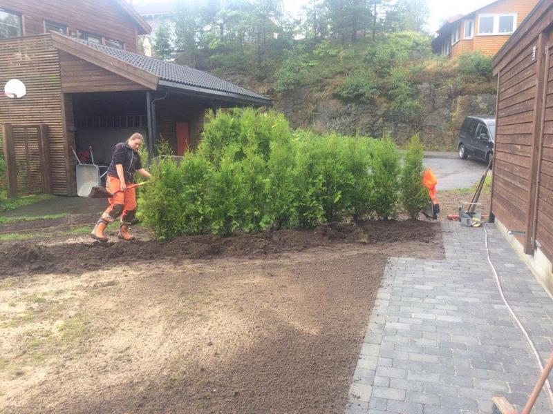 Fagprve Oda 18 aug 17 9