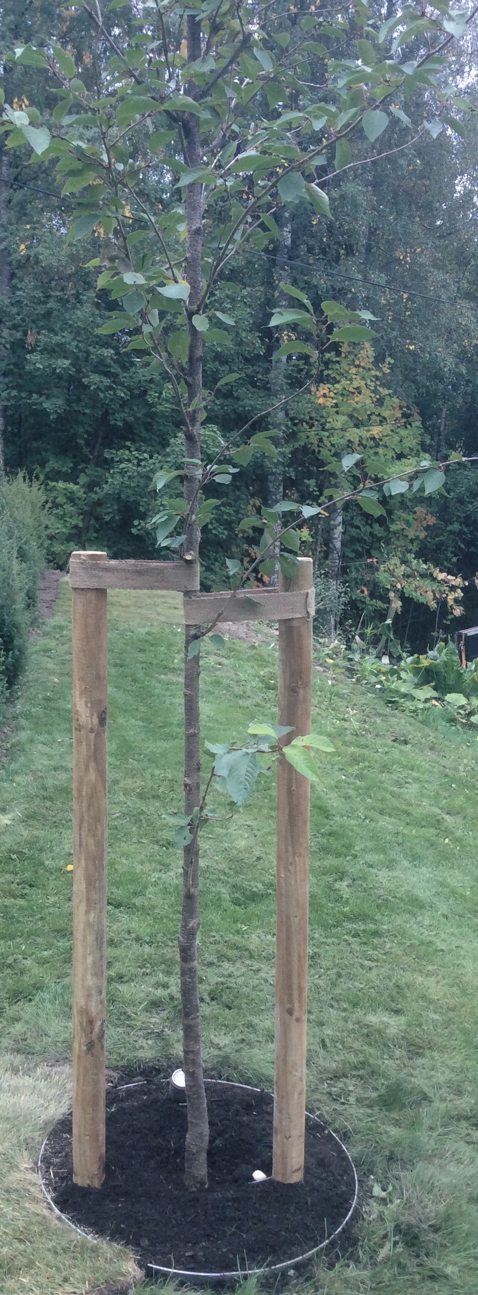 20180907 130925623 iOS