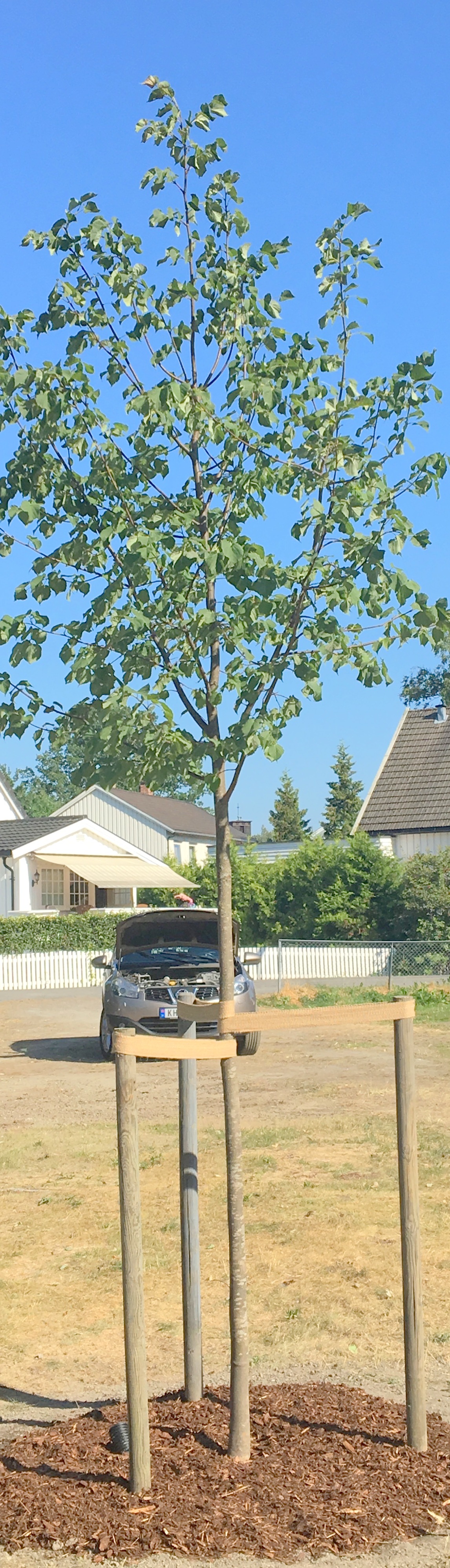 20180705 141159408 iOS