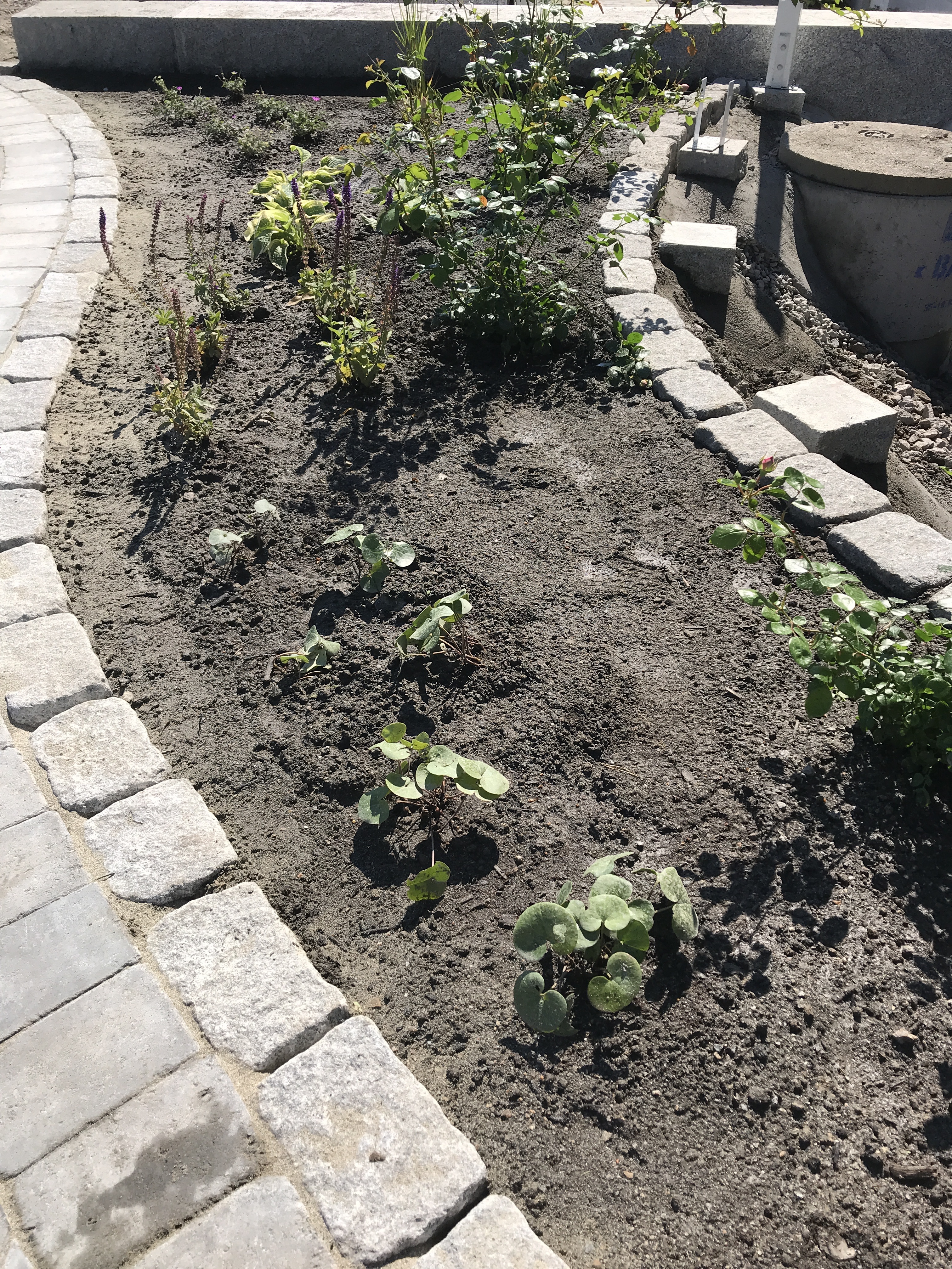 20200626 085754602 iOS