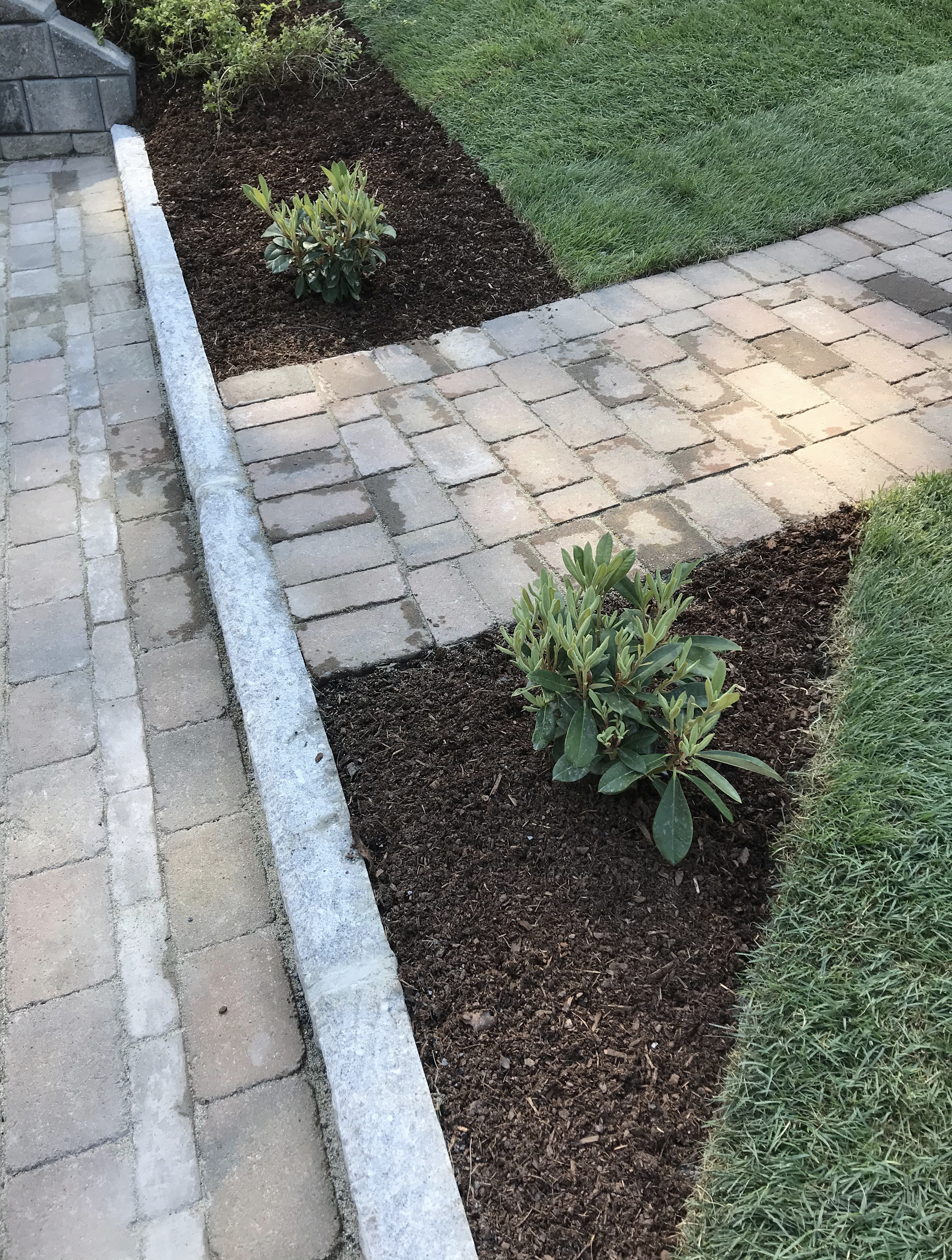 20200619 084158099 iOS