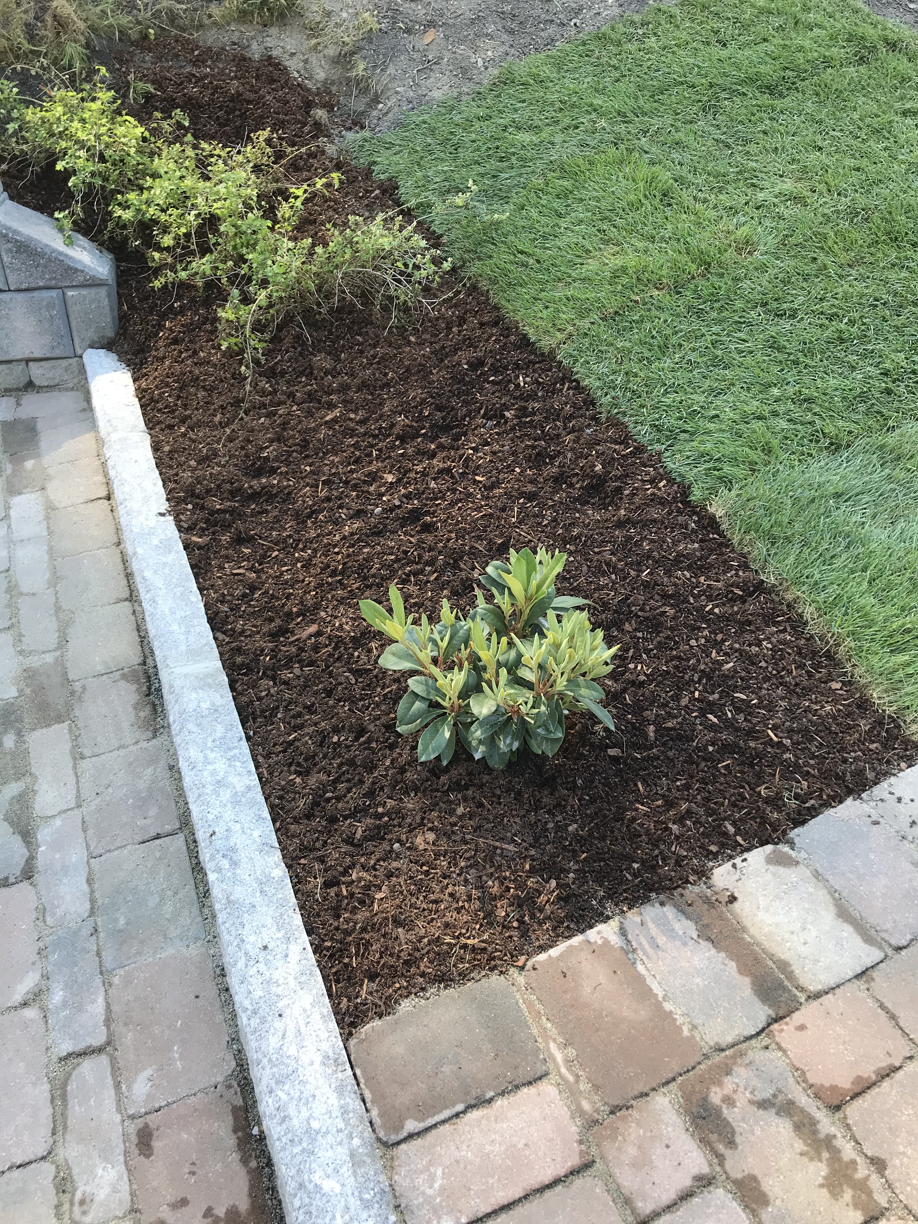 20200619 084212712 iOS