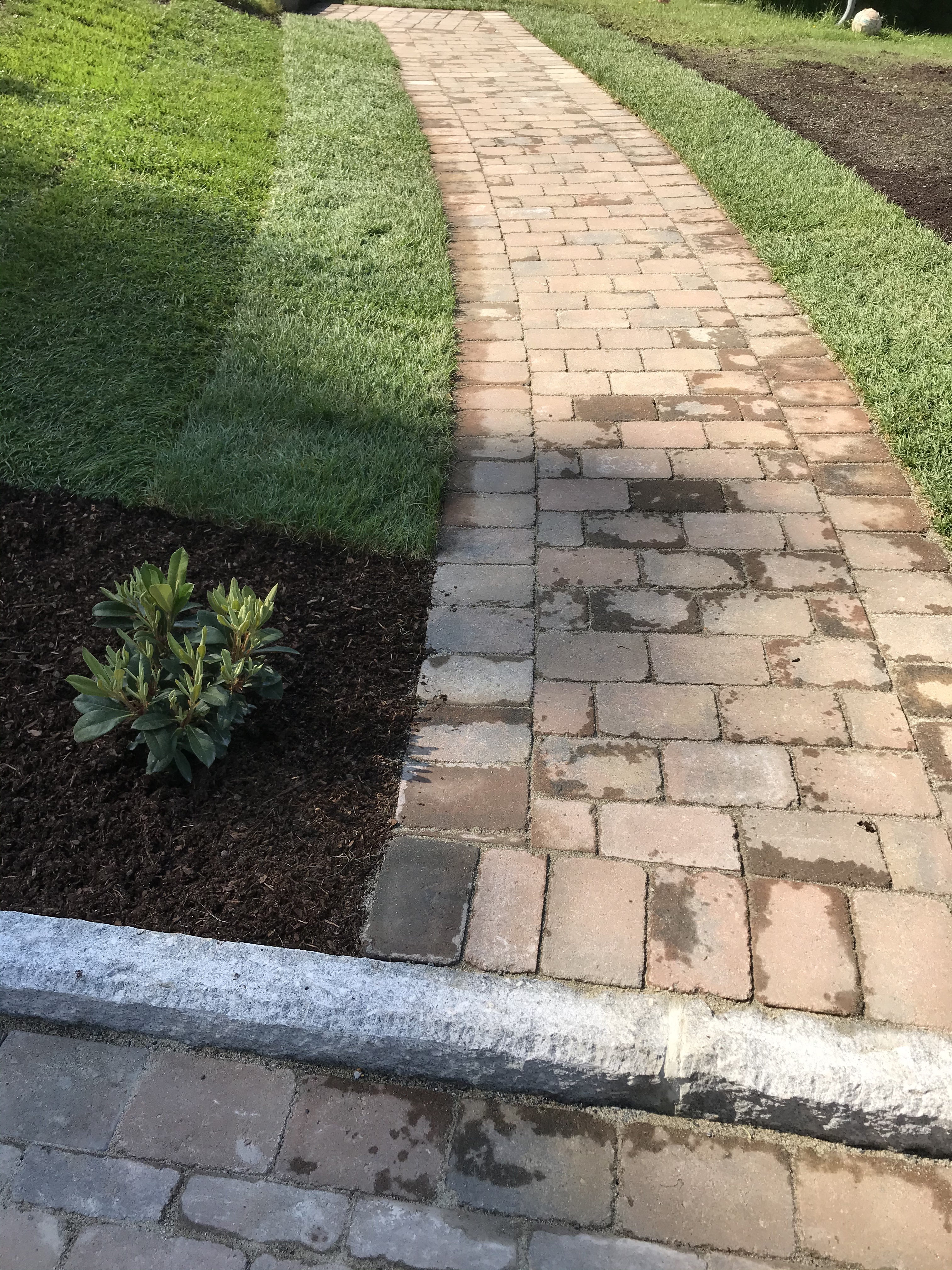 20200619 090709554 iOS