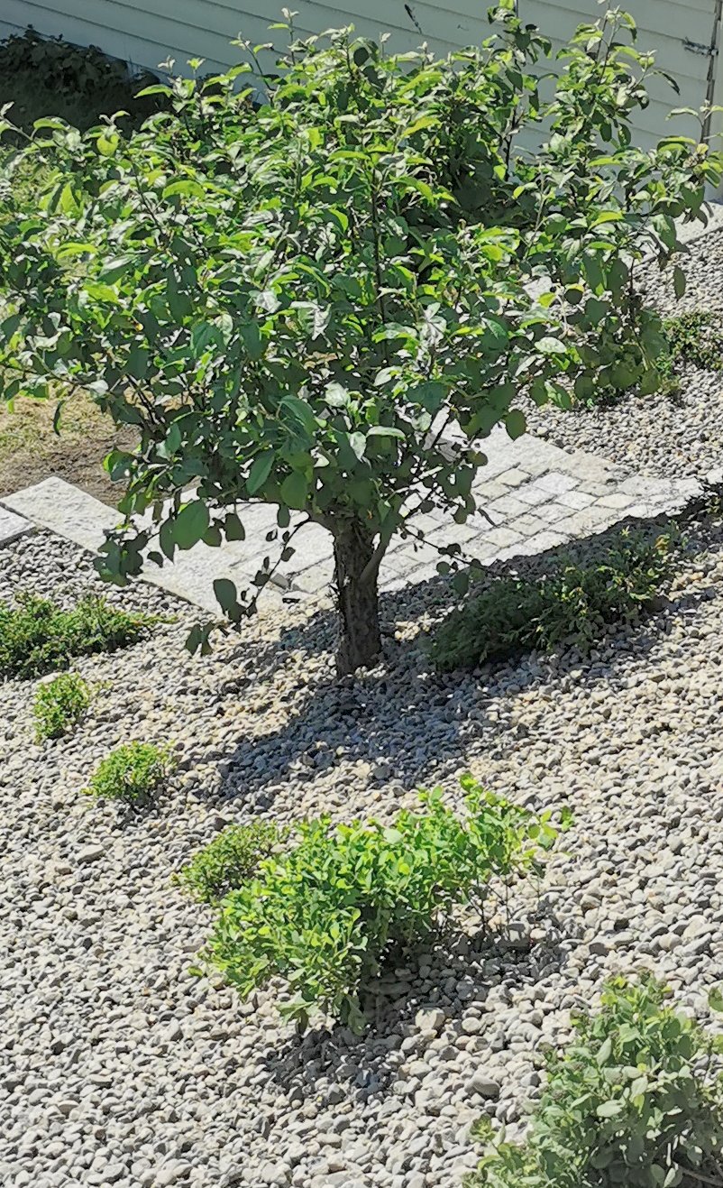 IMG 20210604 102918