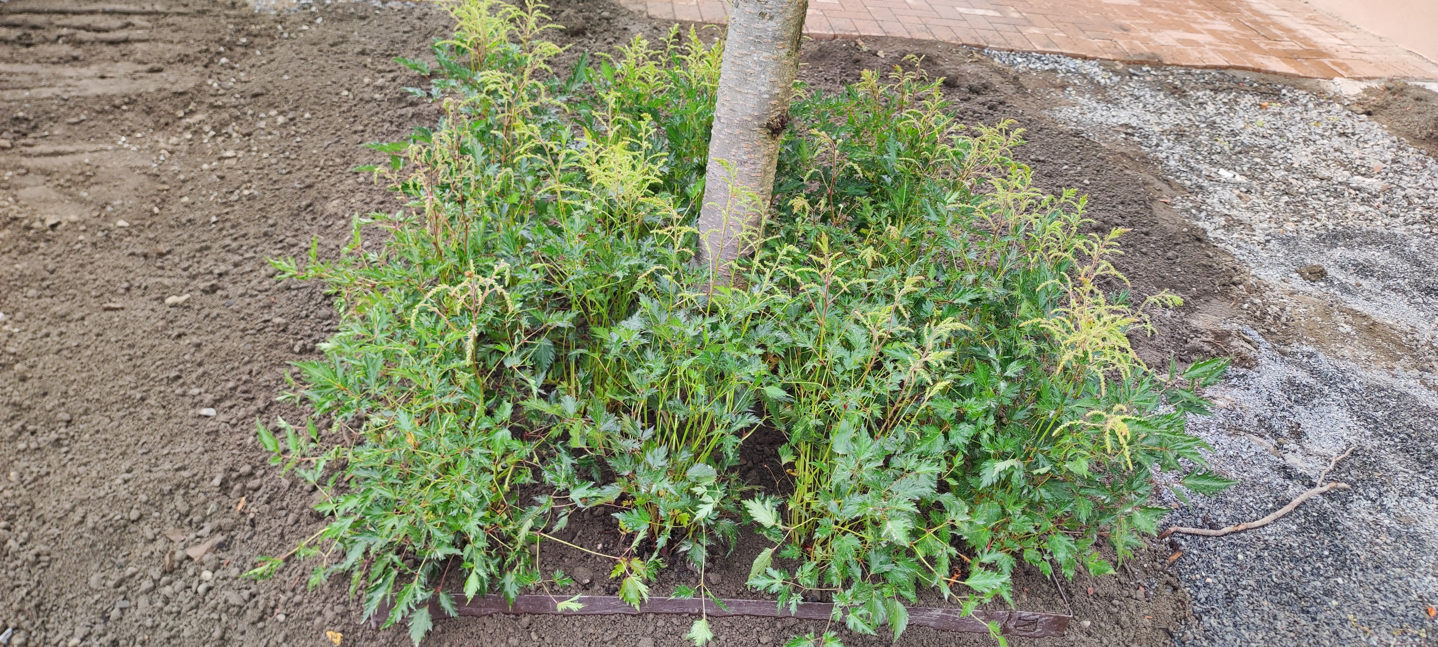 07 IMG 20220701 110047