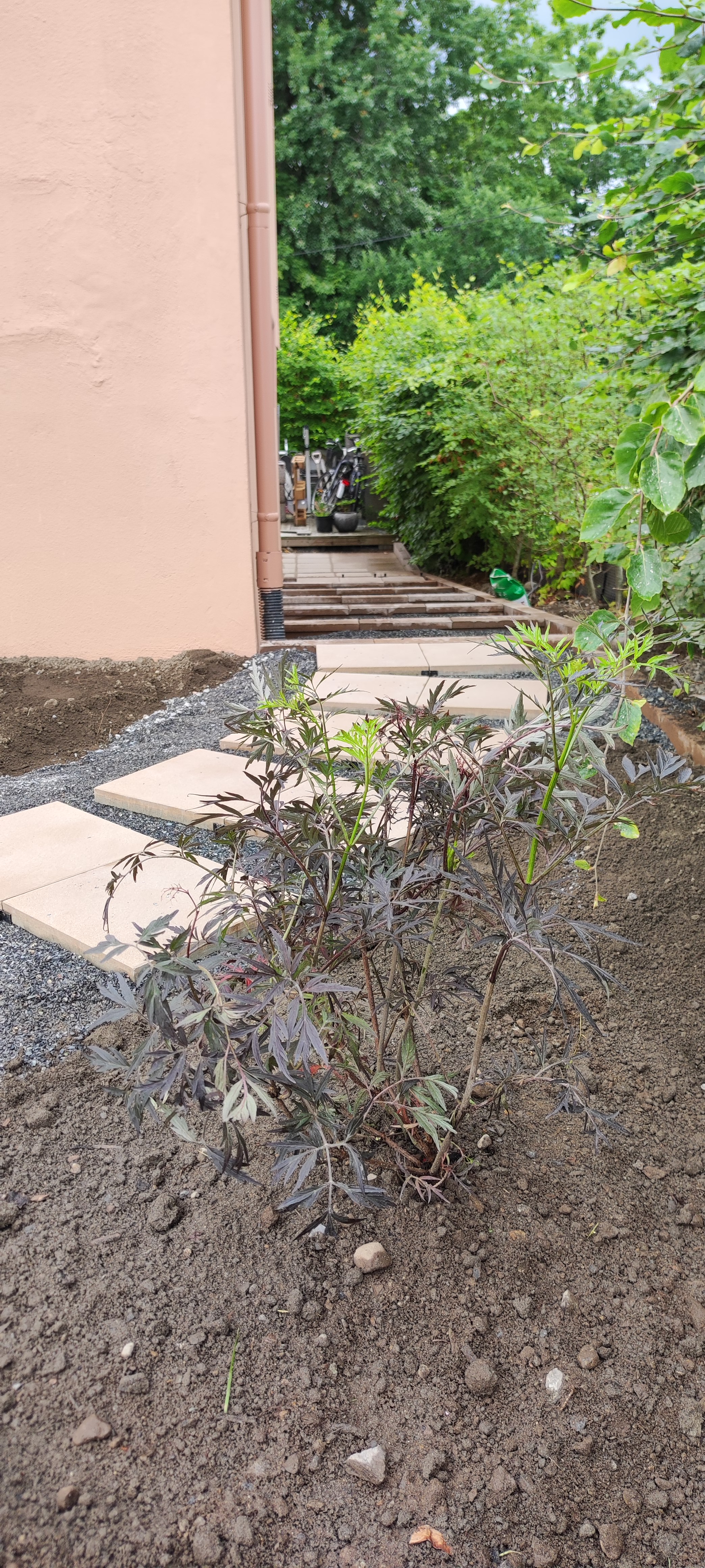 08 IMG 20220701 110120