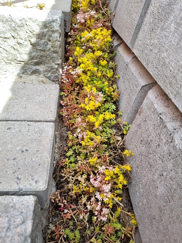 02 Resized 20220708 163358