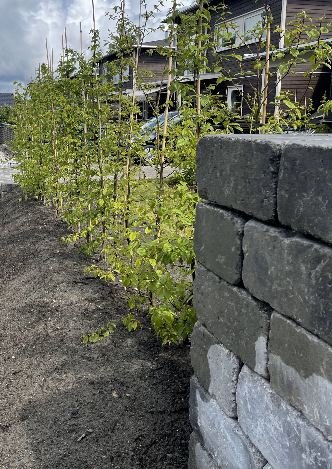 20230706 105833314 iOS