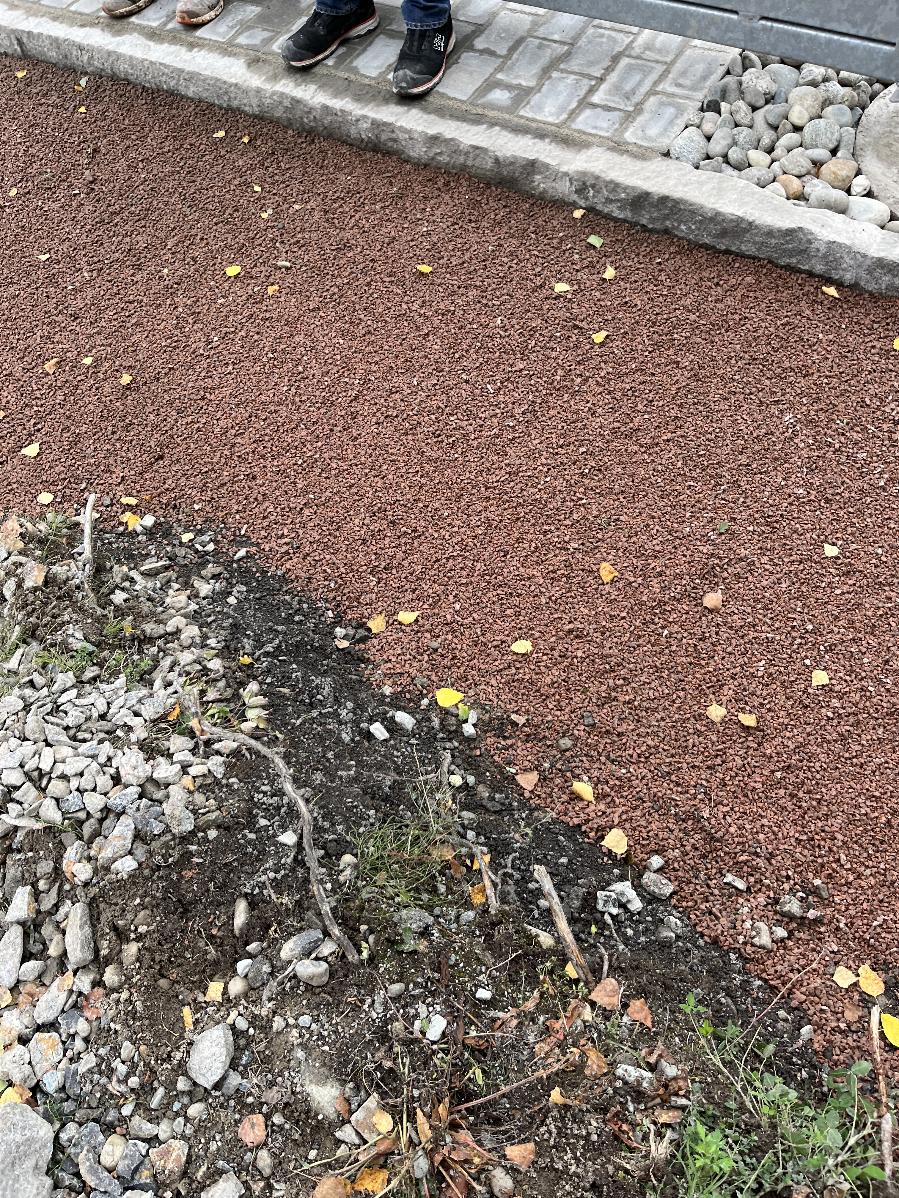 20230921 130739357 iOS