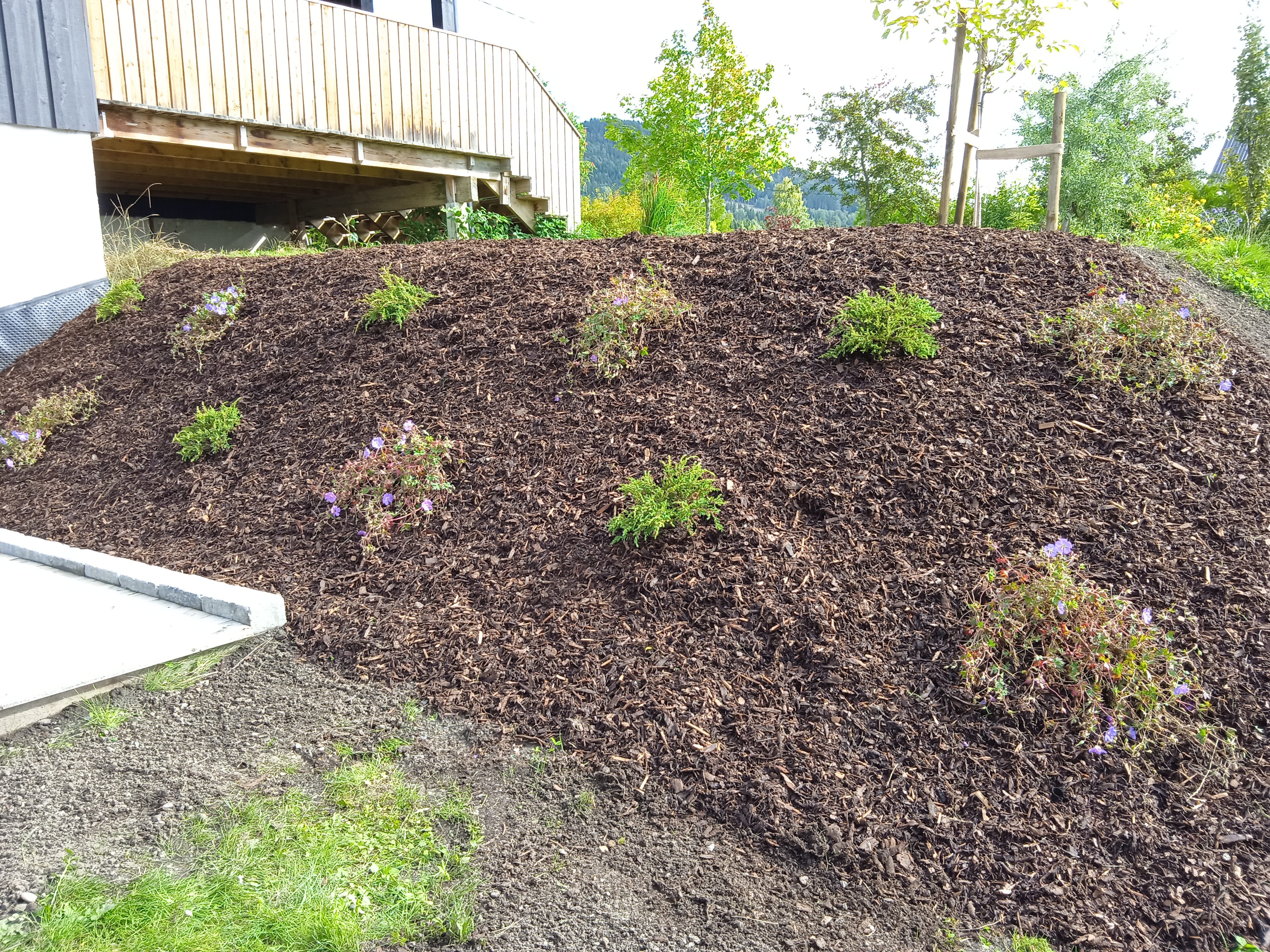 IMG 20240830 150947 1