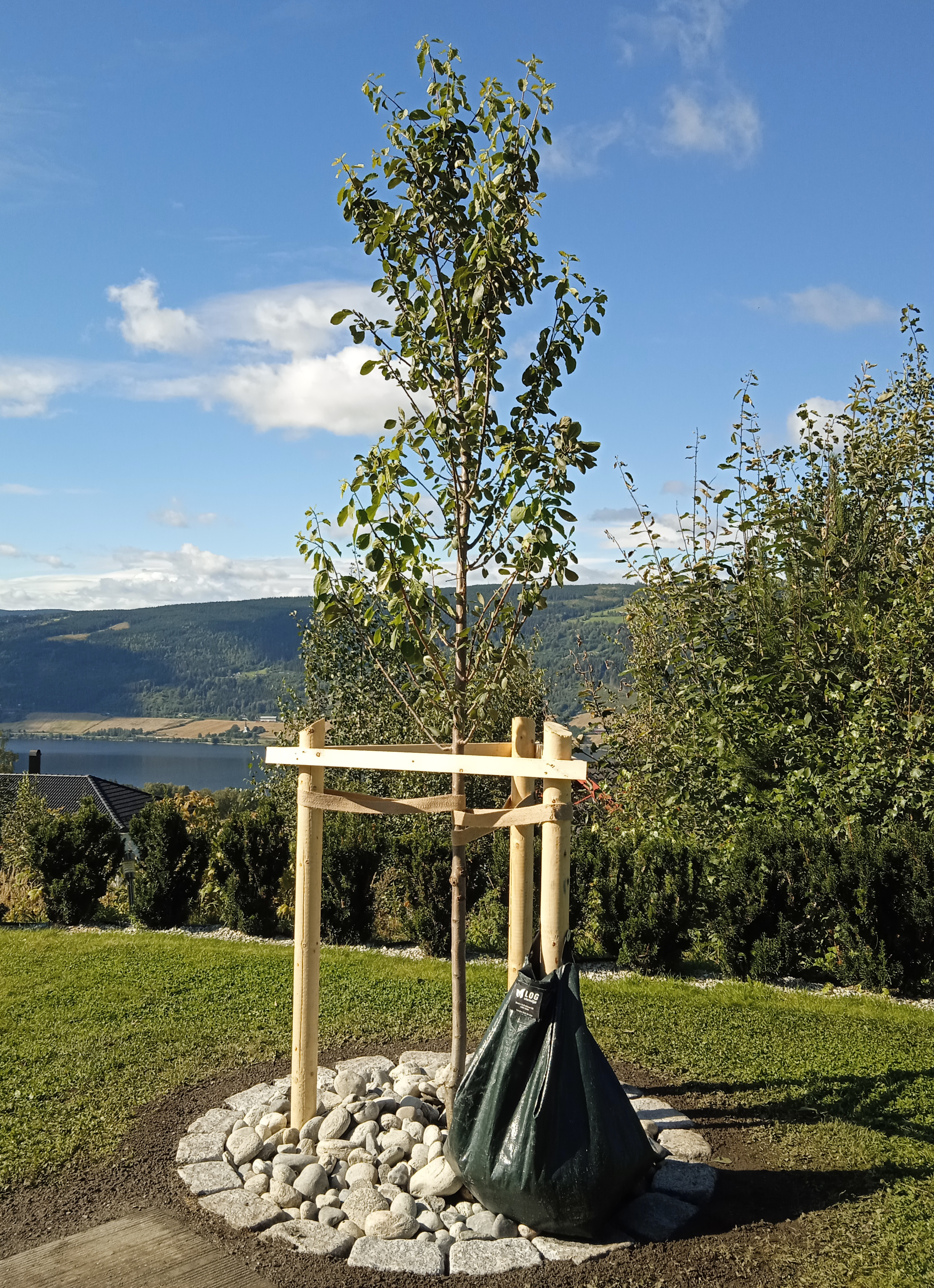 IMG 20240830 120629 1