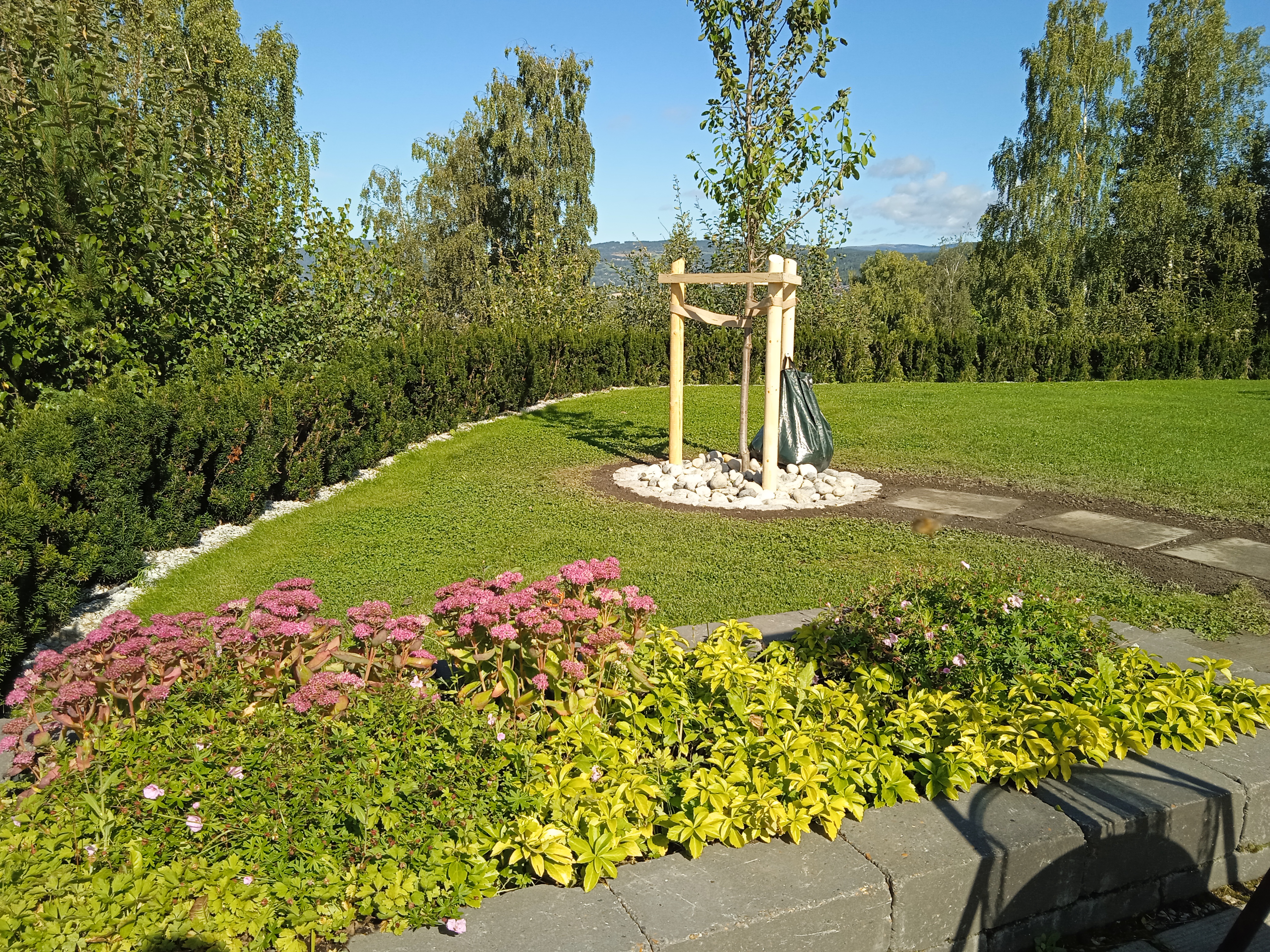 IMG 20240830 120655 1