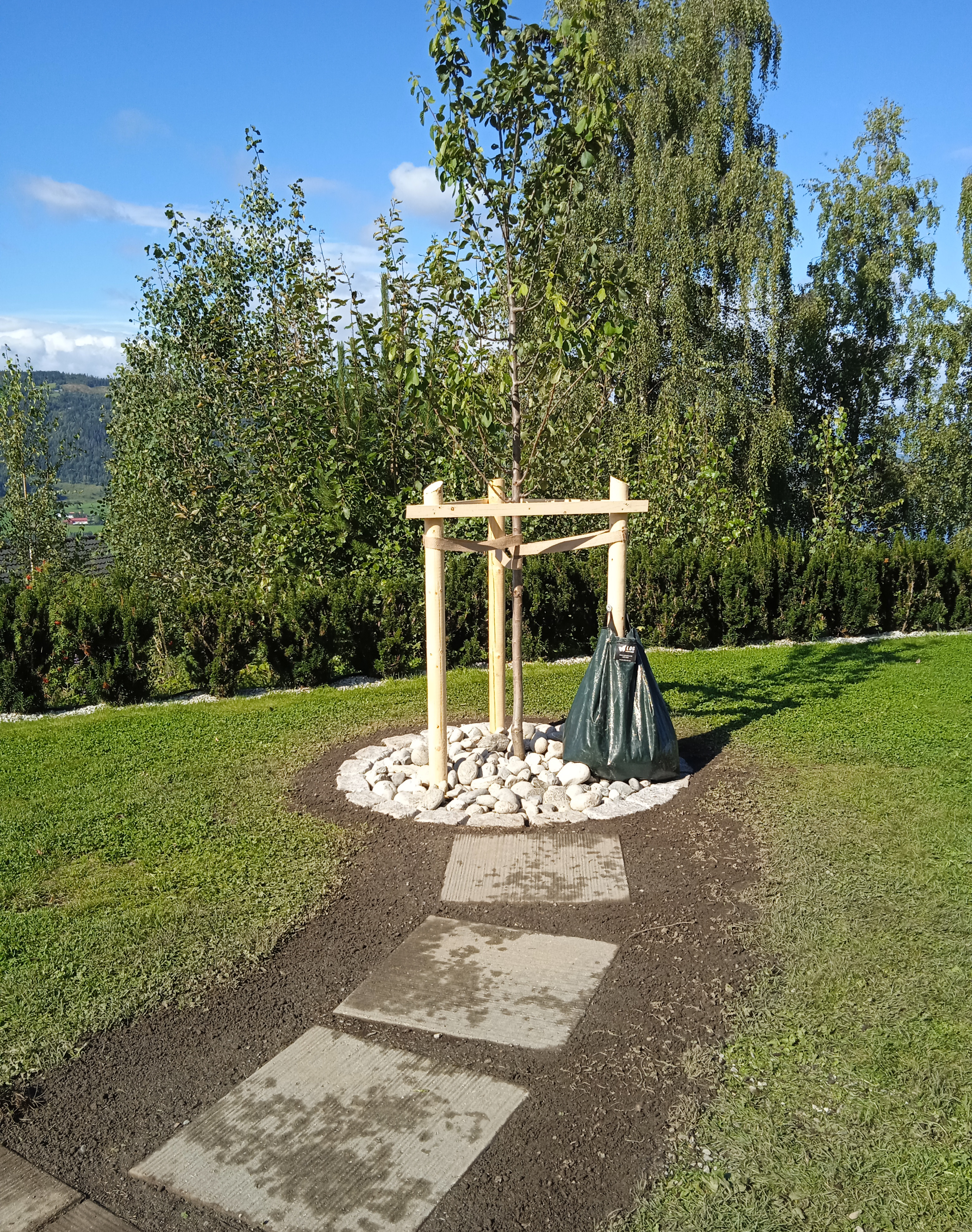 IMG 20240830 122152 1